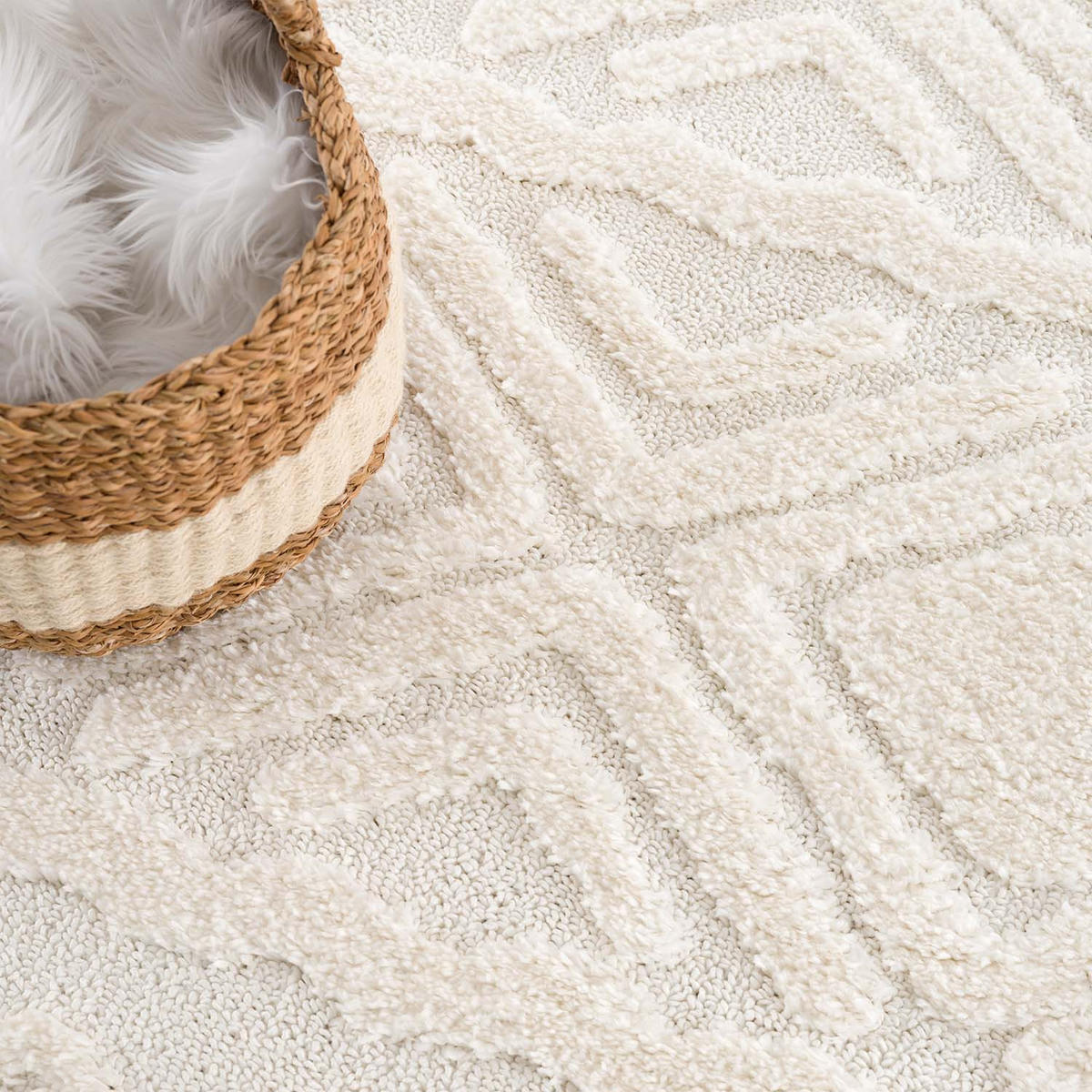 HOCHFLOR-TEPPICH Focus 3382 Creme 120x120 cm Rund - Creme, Textil (120/120cm) - carpet city