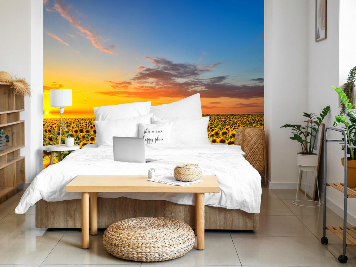 FOTOTAPETE für Küche Sonnenuntergang Sonnenblumenfeld Blumen 450x315 - Gelb/Orange, Papier (450/315cm) - Muralo