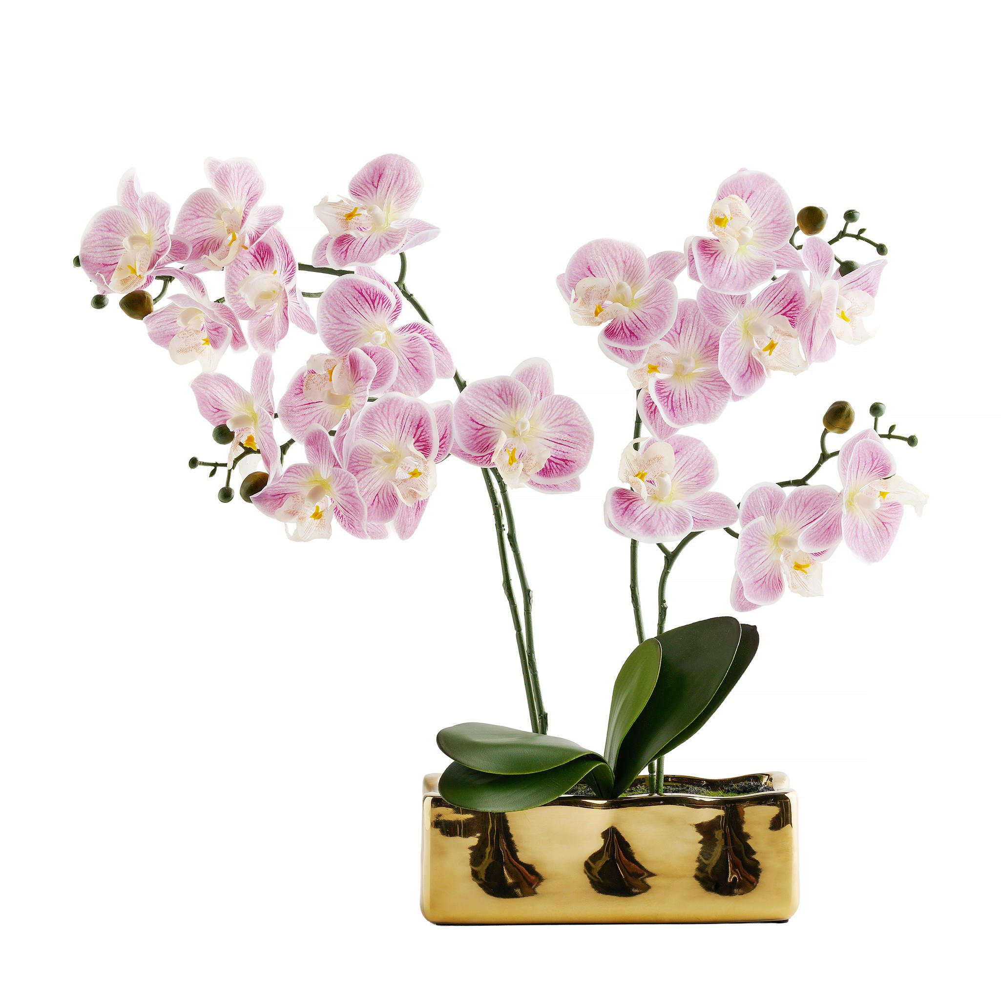 KUNSTPFLANZE Orchianum - Violett, Textil (49cm) - home&you