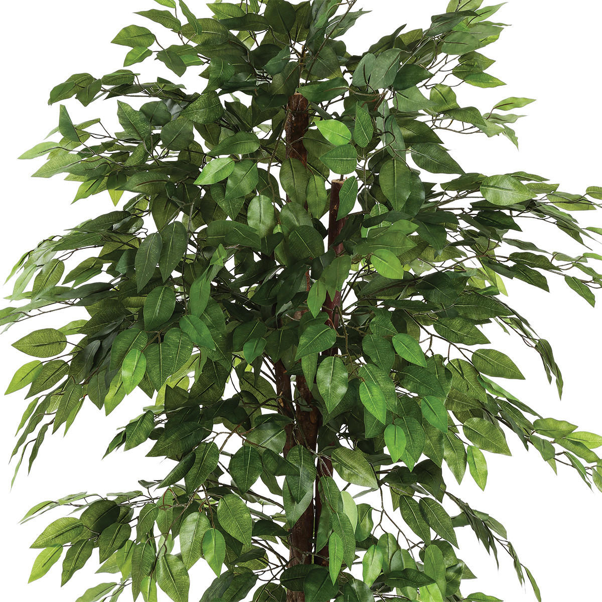 FICUS im Topf 97/86/185 cm - Grün, Kunststoff (185cm) - Atmosphera Createur d´interieur