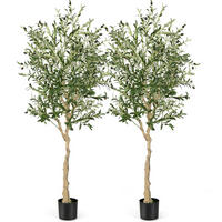 KUNSTPFLANZE Olivenbäume Grün(2er-Set) - Grün, Kunststoff (182cm) - COSTWAY