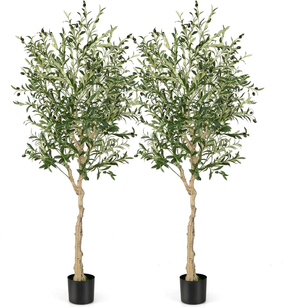 KUNSTPFLANZE Olivenbäume Grün(2er-Set) - Grün, Kunststoff (182cm) - COSTWAY