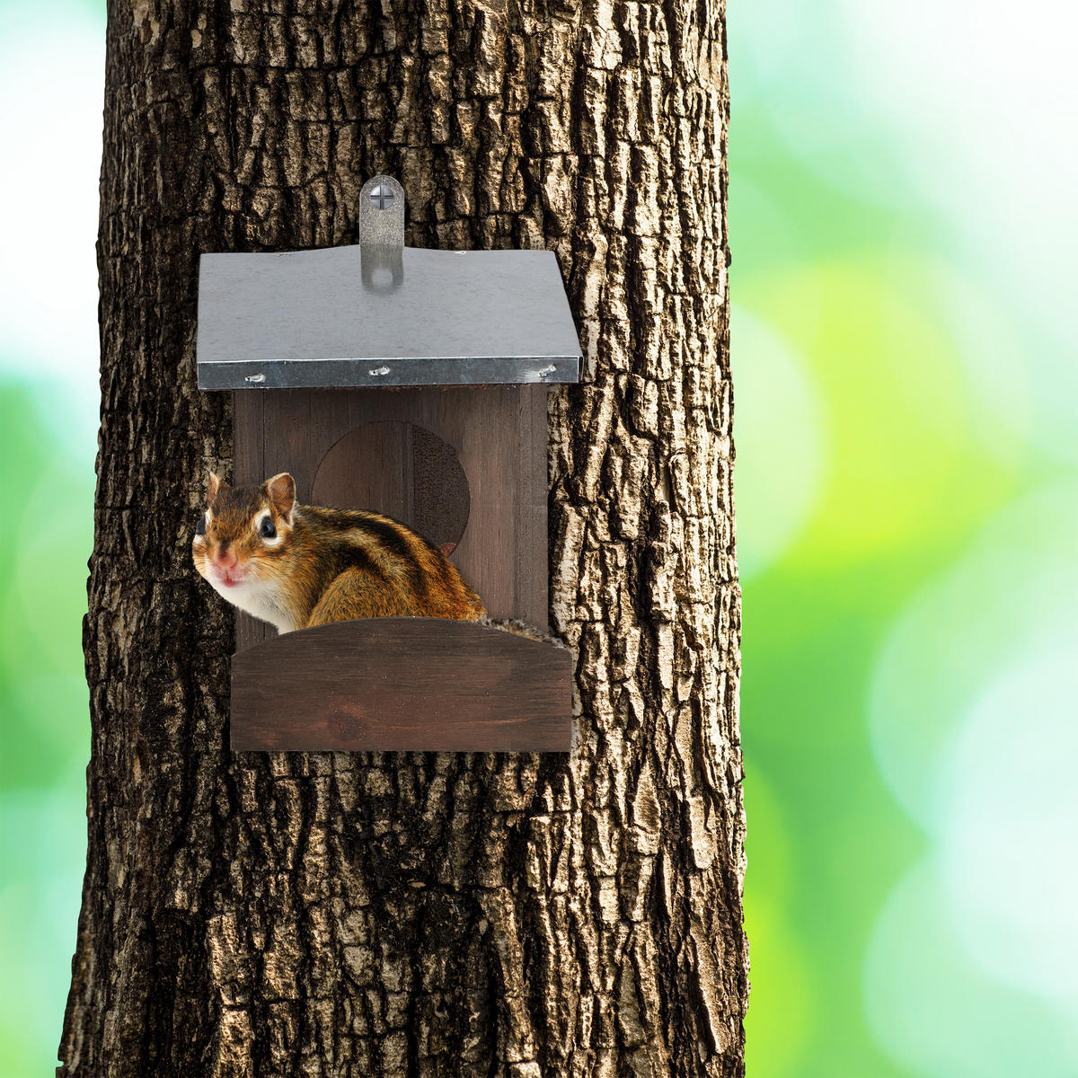 EICHHÖRNCHEN Futterhaus - Braun, Holz/Metall (12/18/25cm) - Relaxdays