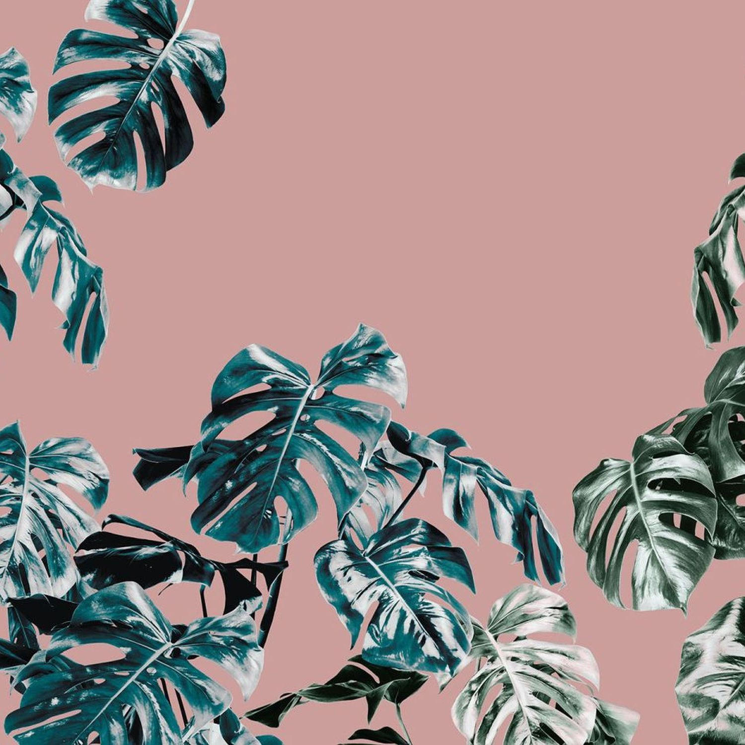 FOTOTAPETE Dschungel 400 x 250 cm - Pink, Papier (400/250cm) - Sanders & Sanders
