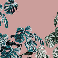 FOTOTAPETE Dschungel 400 x 250 cm - Pink, Papier (400/250cm) - Sanders & Sanders