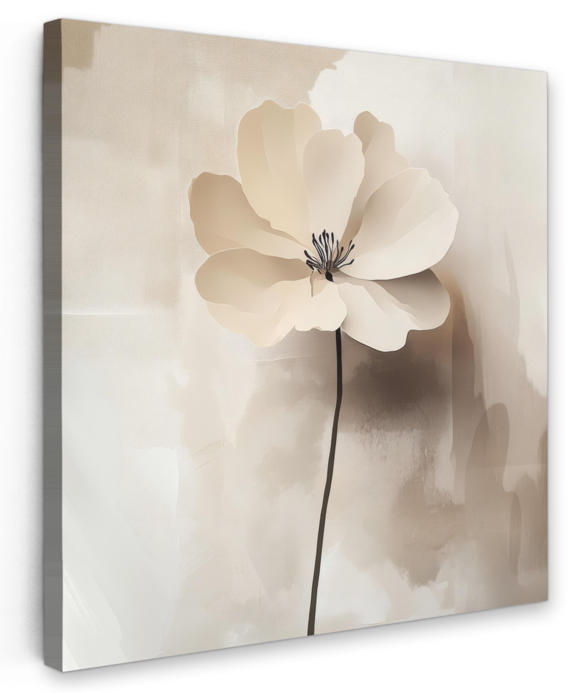 LEINWANDBILD Blume - Beige - Farbe - Schatten 20x20 cm - Creme, Textil (20/20cm) - MuchoWow