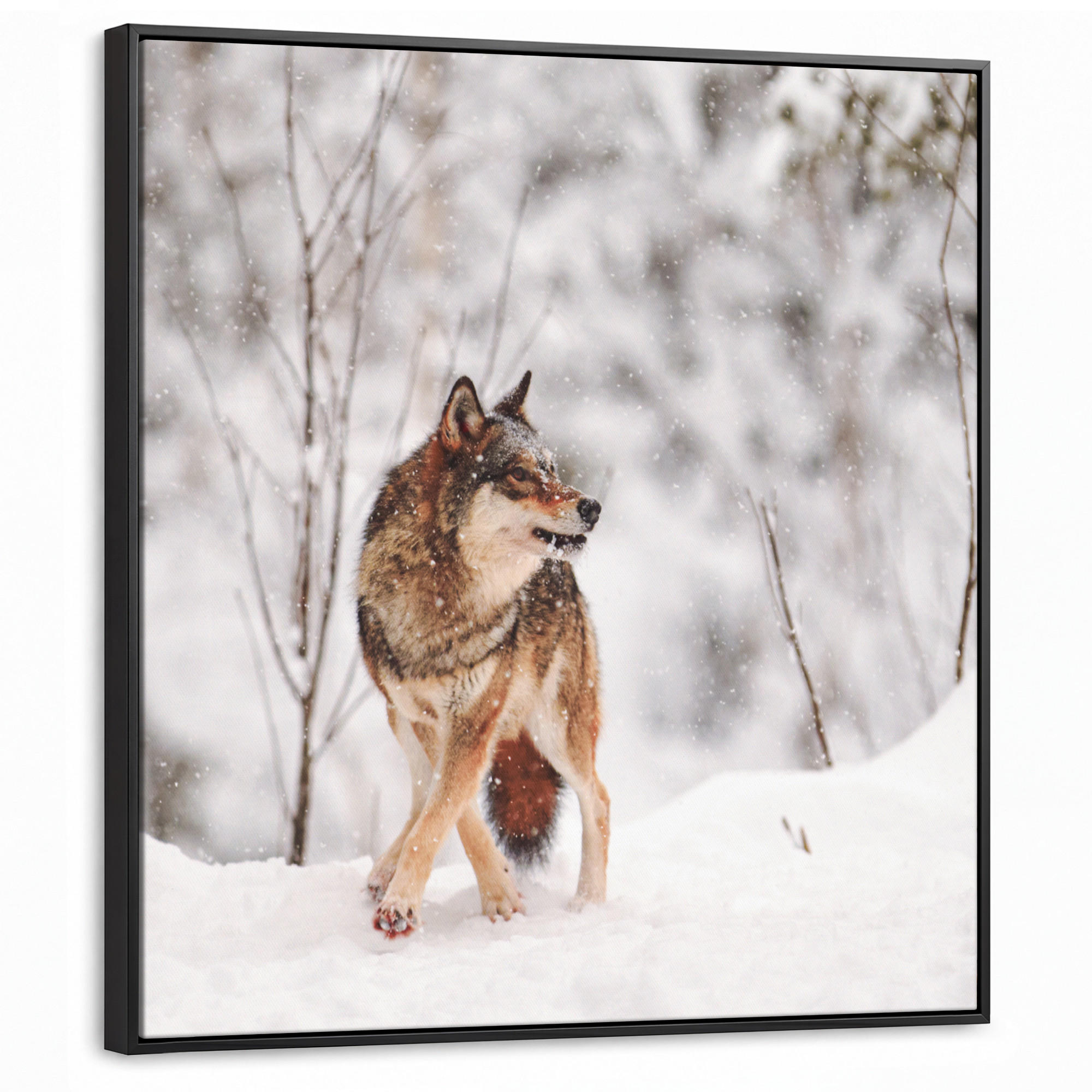 MuchoWow Leinwand Haselnuss 90x90 cm