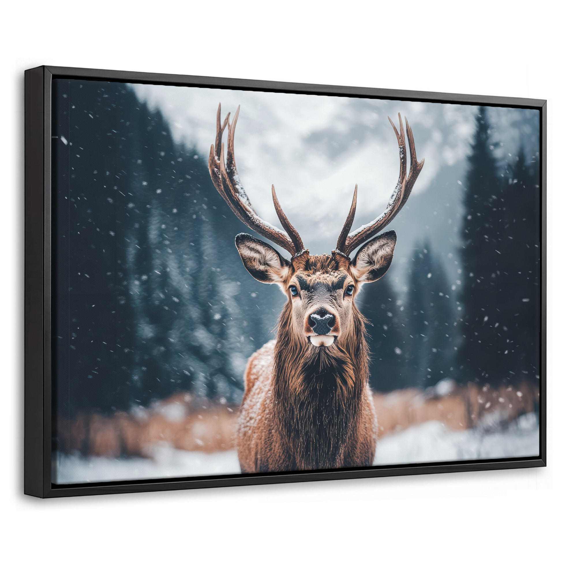 MuchoWow Leinwand Kastanien 30x20 cm