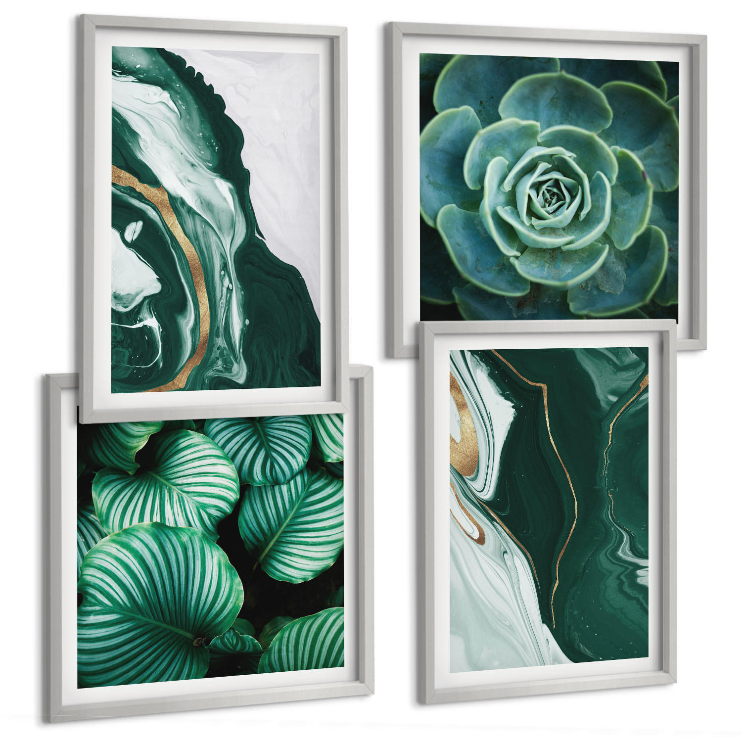 BILDER SET 4er Set - 50x50 cm & 40x60 cm Silberner Rahmen - Abstrakte Muster von Sukkulentenblättern - Silberfarben, Kunststoff (50/50cm) - TULUP