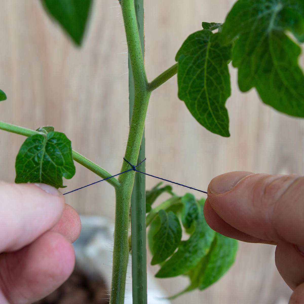 10XPFLANZSTÄBE - Dunkelgrün, Kunststoff/Metall (1/100/1cm) - Relaxdays