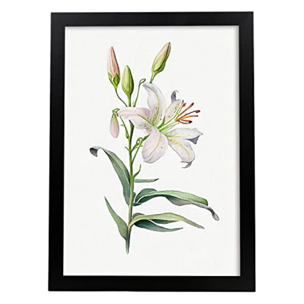 POSTER Lilie Im Nordischen Stil. A3 Rahmenlos - Klar, Papier (29.7/5/42cm) - Nacnic