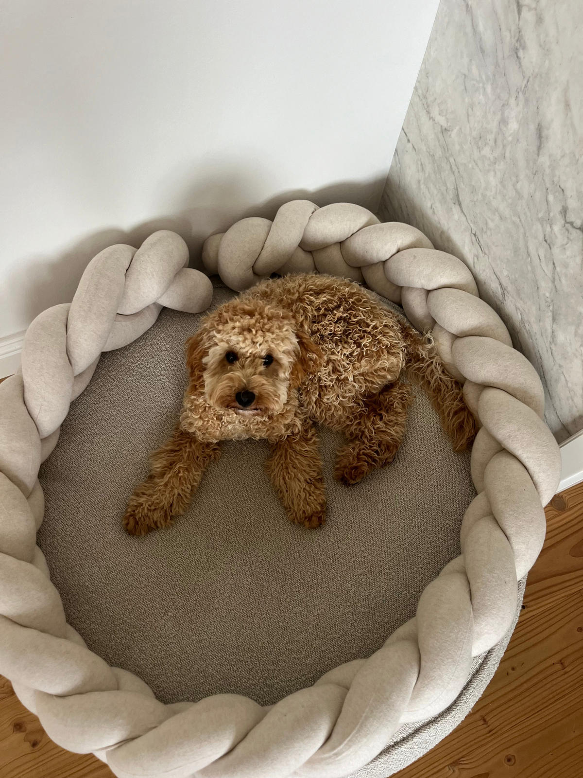 BETTSCHLANGE geflochten Natur Strick - Naturfarben, Textil (17/200cm) - nordic coast company