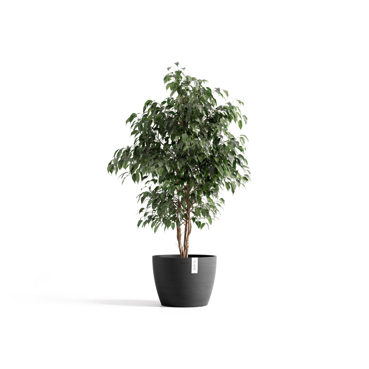 BLUMENTOPF Stockholm Dunkelgrau - Dunkelgrau, Kunststoff (31/23.5cm) - Ecopots