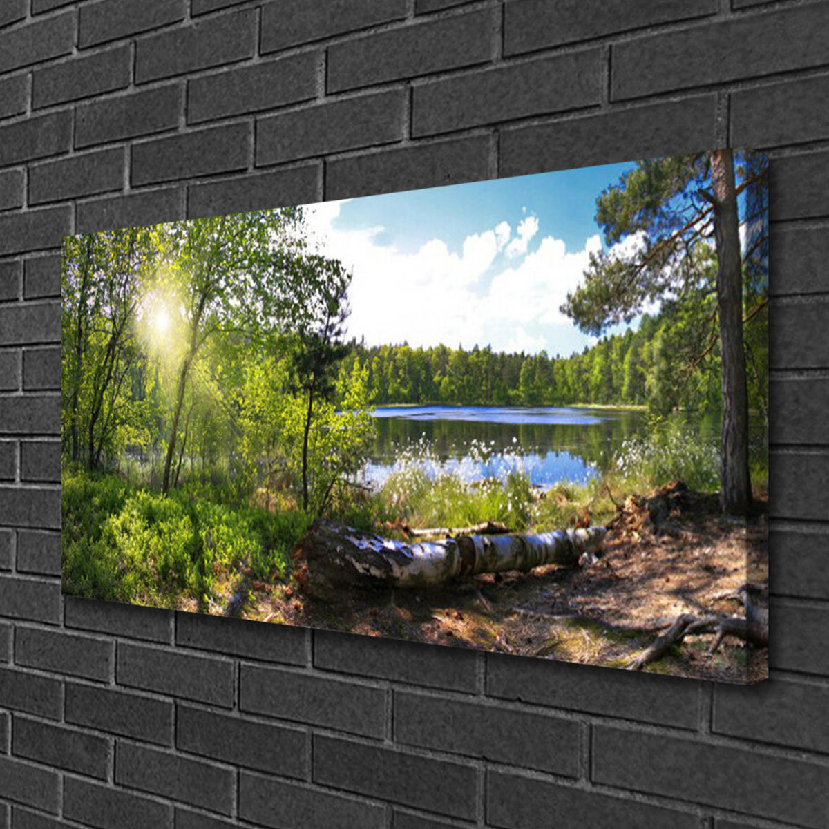 LEINWANDBILD 100x50 cm See im Wald - Dunkelgrün/Grün, Textil (100/4cm) - TULUP