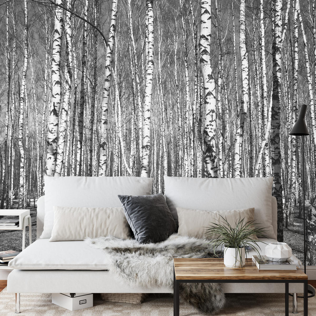 FOTOTAPETE für Wohnzimmer Birkenwald Schwarz-Weiß Minimalistisch 200x140 - Schwarz/Weiß, Papier (200/140cm) - Muralo