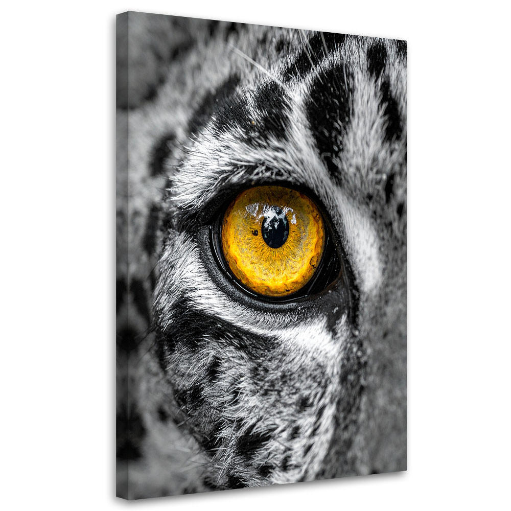 BILDER, Tiger Tiere Auge Schwarz-Weiß - Schwarz, Textil (30/45cm) - Feeby