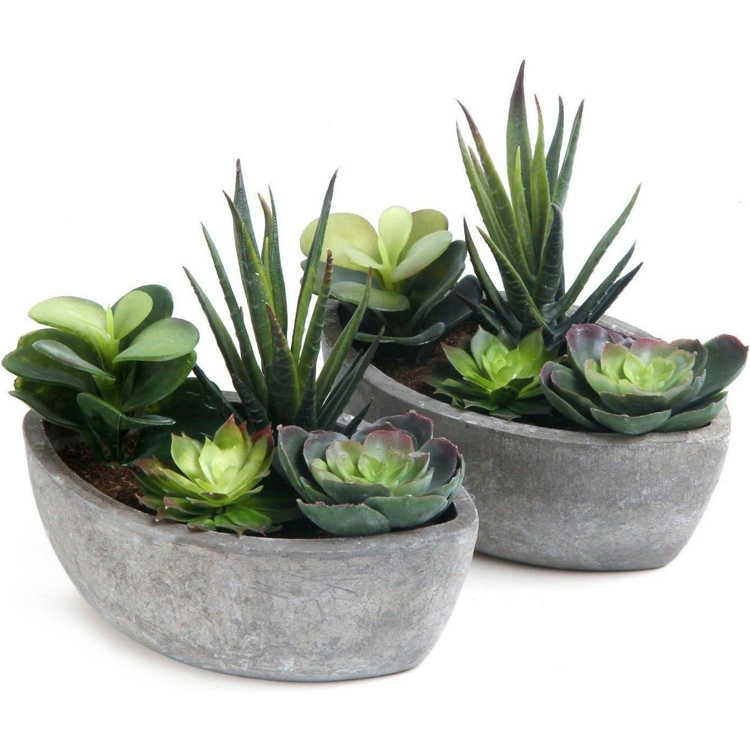 KUNSTPFLANZEN-SET Sukkulenten Grün 2-teiliges Set Beton-Optik - Grün, Kunststoff (14cm)