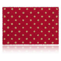 FUSSMATTE Rot Natur Kokos rutschfest 60x40 cm - Rot, Kunststoff/Textil (40/60cm) - Relaxdays