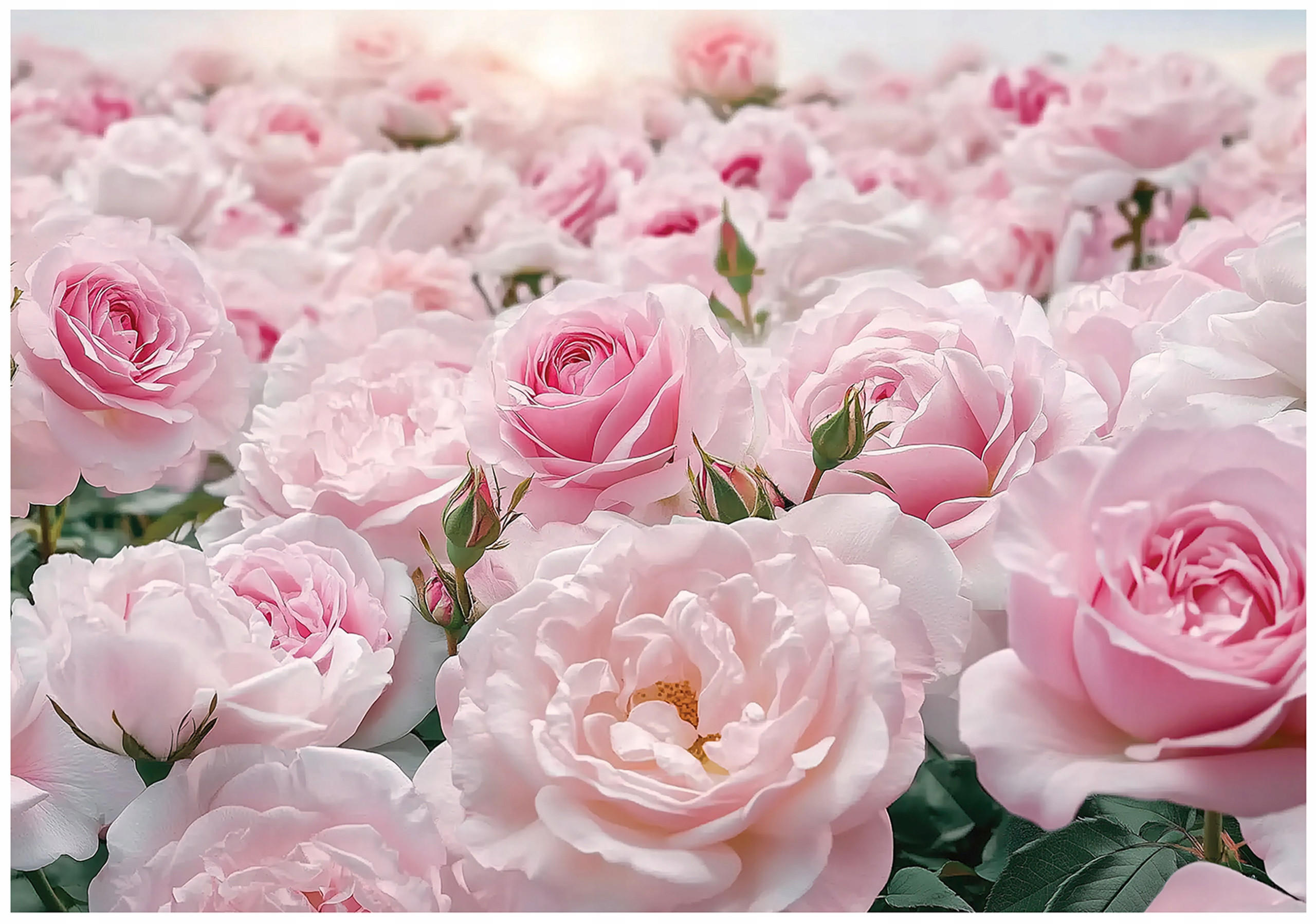 FOTOTAPETE Blumen Rosen Wohnzimmer Vlies Tapete 150x105 - Multicolor, Papier (150/105cm) - Wallarena
