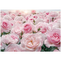 FOTOTAPETE Blumen Rosen Wohnzimmer Vlies Tapete 150x105 - Multicolor, Papier (150/105cm) - Wallarena