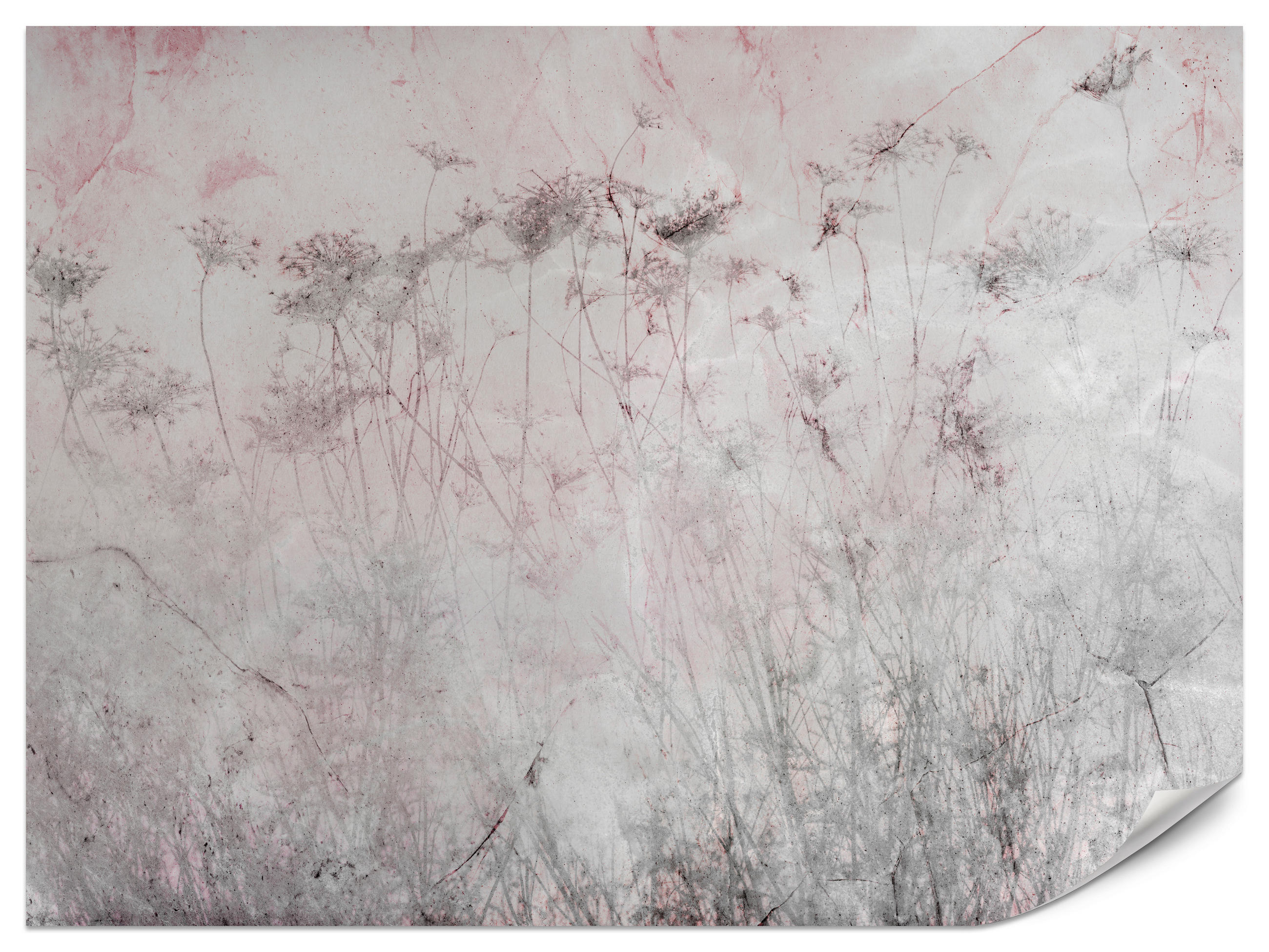 FOTOTAPETE für Schlafzimmer Blumen Wiese Gras Zarte Landschaft 400x280 - Violett/Rosa, Papier (400/280cm) - Muralo