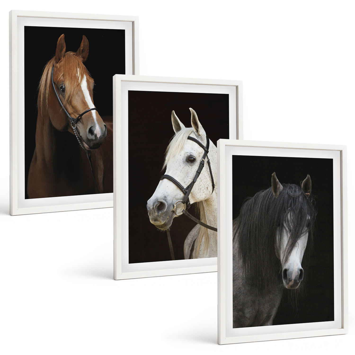 BILDER SET 3er Set - 40x60 cm Weißer Rahmen - Porträts von Pferden in verschiedenen Fellfarben - Weiß, Kunststoff (40/60cm) - TULUP