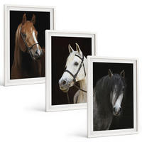 BILDER SET 3er Set - 40x60 cm Weißer Rahmen - Porträts von Pferden in verschiedenen Fellfarben - Weiß, Kunststoff (40/60cm) - TULUP