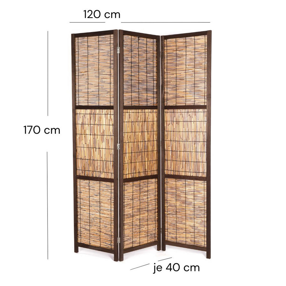 RAUMTEILER Cala 3-tlg. Schilfrohr - Naturfarben, Holz (120/170/2cm) - CREEDWOOD