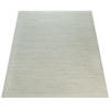 HOCHFLORTEPPICH 120/170 cm Kasko 300 - Naturfarben, Textil (120/170cm) - Paco Home