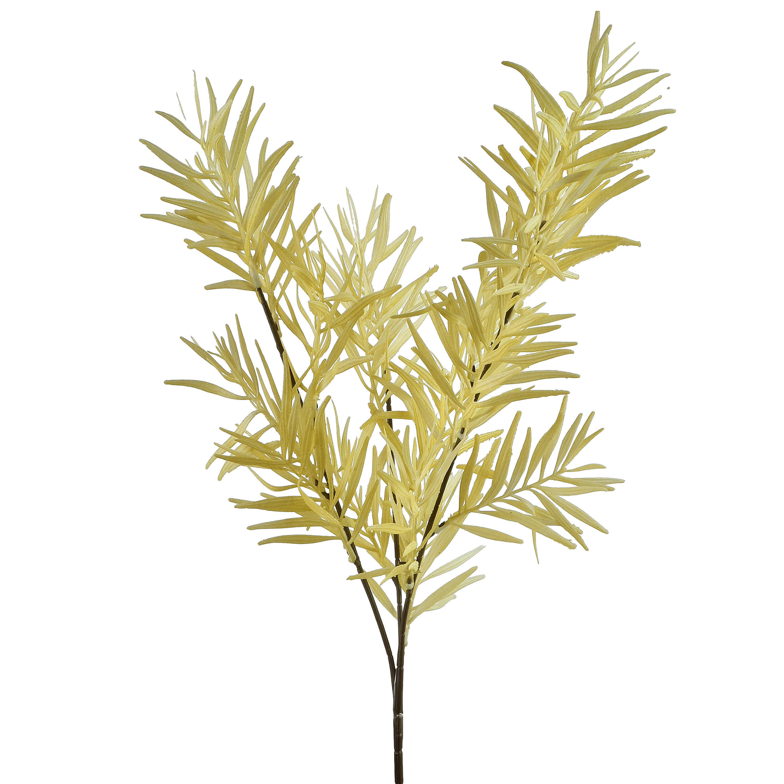 DEKOZWEIG Viridis Kunststoff - Beige, Kunststoff (75cm) - Mondex