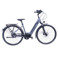 E-CITY Wave E-Bike Integrated Steps Lady 7 Gang 28 Zoll Gr:44cm - Grau, Metall (44cm) - Hawk Bikes