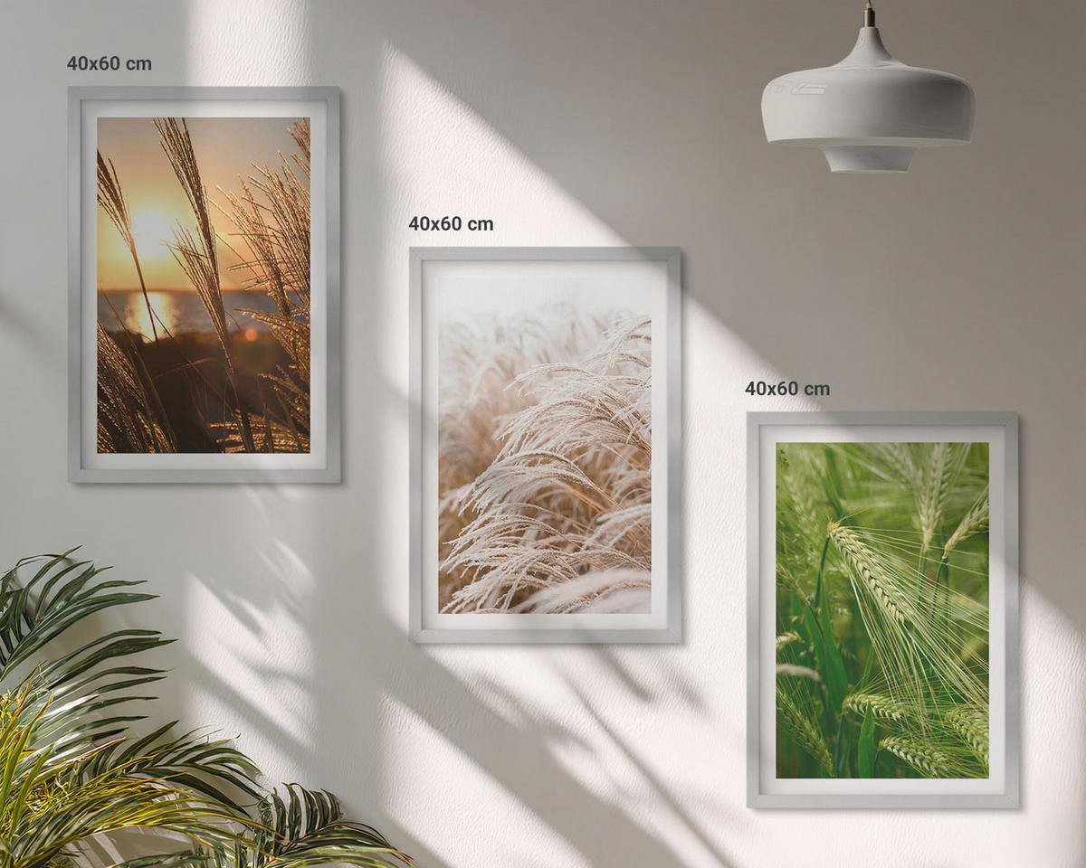 WANDBILDER 3er Set - 40x60 cm Silberner Rahmen - Gräser farbenfrohe Natur - Silberfarben, Kunststoff (40/60cm) - ArtPrintCave