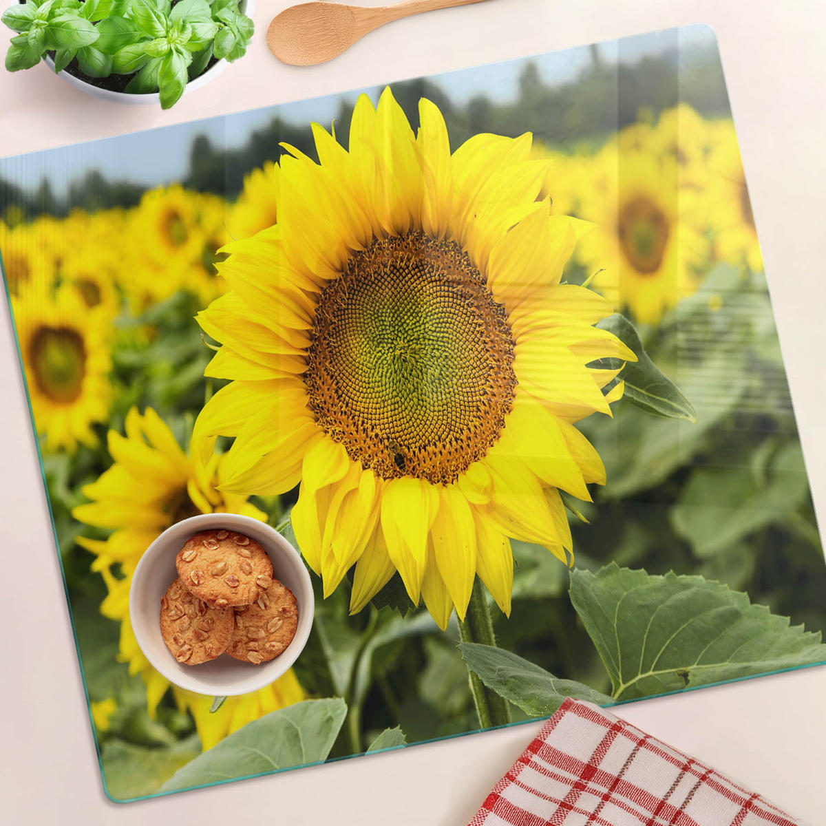 GLASPLATTE 60x52 cm Sonnenblumenfeld - Gelb, Glas (60/0.4/52cm) - TULUP