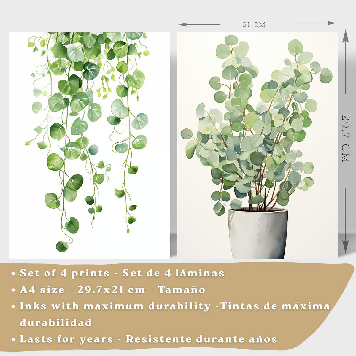 PLAKAT Sada 4 Květinové A4 Lehký dřevěný rám - béžová, papír (29.7/1/21cm) - Nacnic