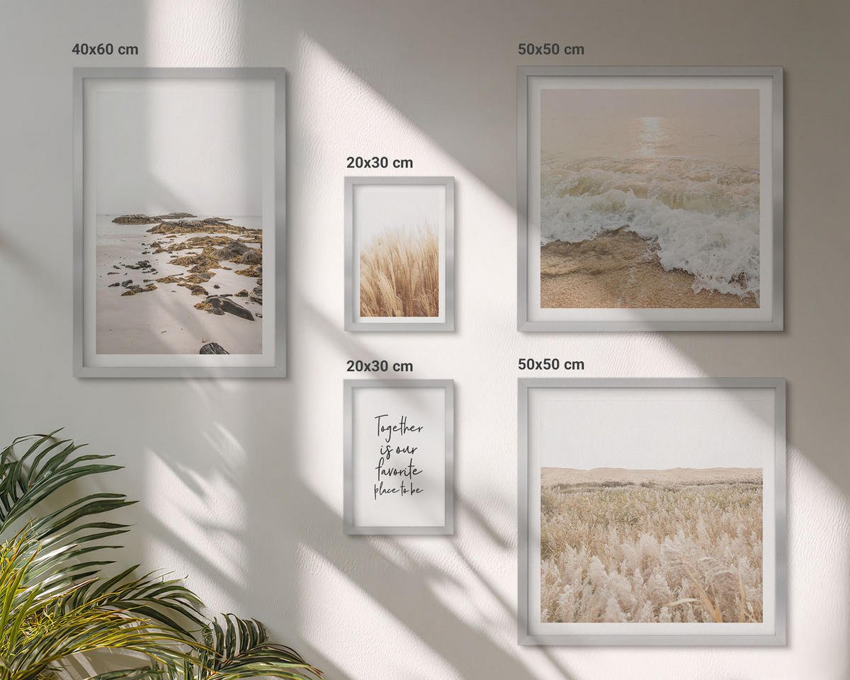 BILDER SET 5er Set - 50x50 cm & 20x30 cm & 40x60 cm Silberner Rahmen - Wiesen, Strand, Boho-Stil - Silberfarben, Kunststoff (40/60cm) - TULUP