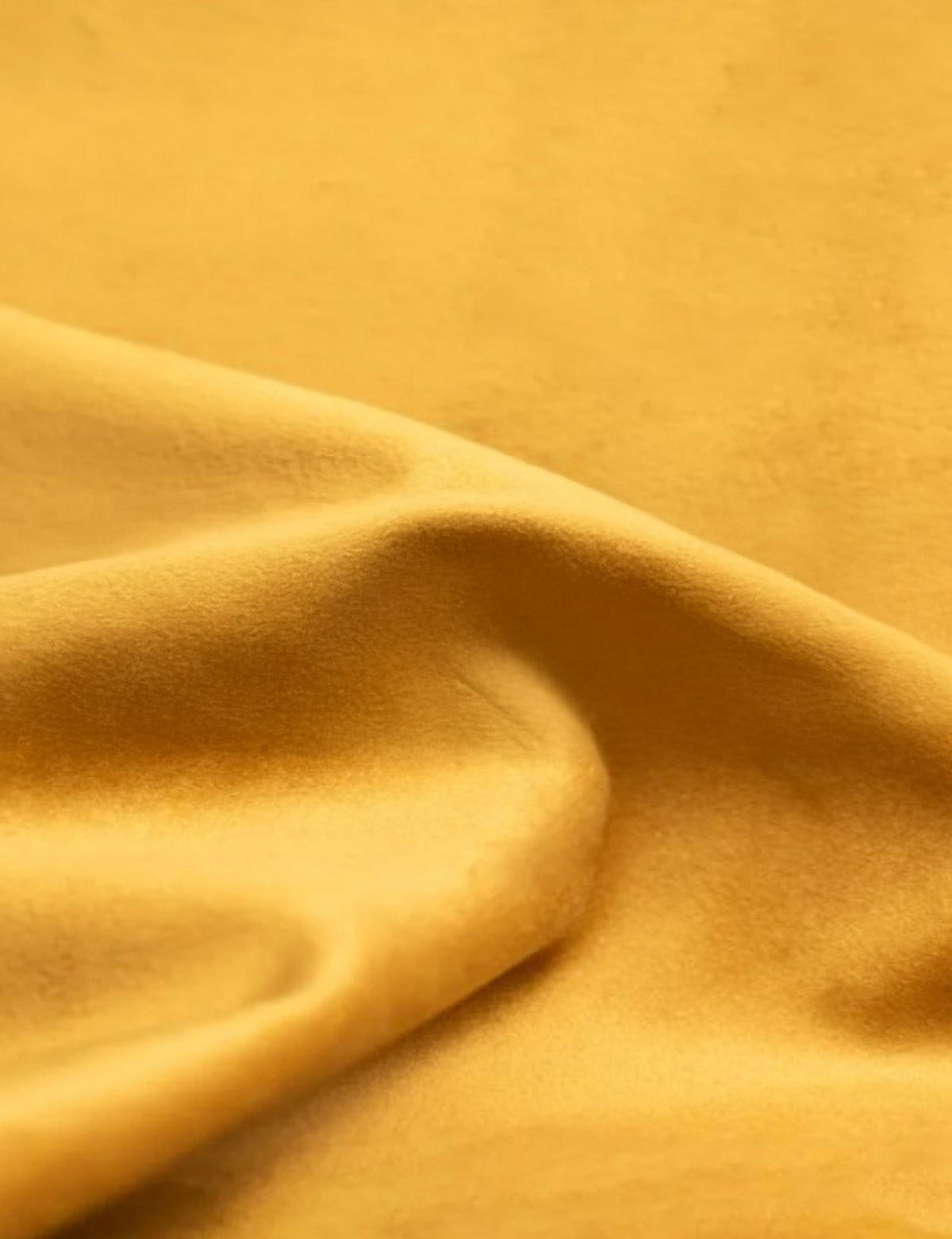 ECKSOFA L-Form Averro, stoff Bluvel, Golden, Links - Goldfarben, Holz (280/150cm) - Kaiser Möbel