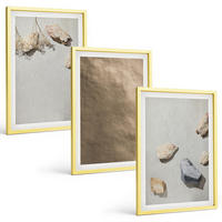 BILDER SET 3er Set - 40x60 cm Goldrahmen - Steine Strand natürliche Strukturen - Goldfarben, Kunststoff (40/60cm) - TULUP