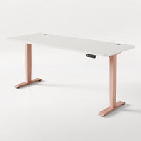 SCHREIBTISCH Elektrisch Höhenverstellbarer HomePro 200x80cm Rosa/Weiß mit Memory-Funktion, Anti-Kollisions Technologie - Pink/Weiß, Holzwerkstoff (80/200/62cm) - Desktronic
