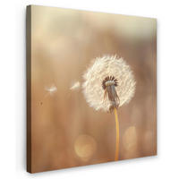 LEINWANDBILD Löwenzahn - Beige - Natur - Blume 20x20 cm - Hellbraun, Textil (20/20cm) - MuchoWow