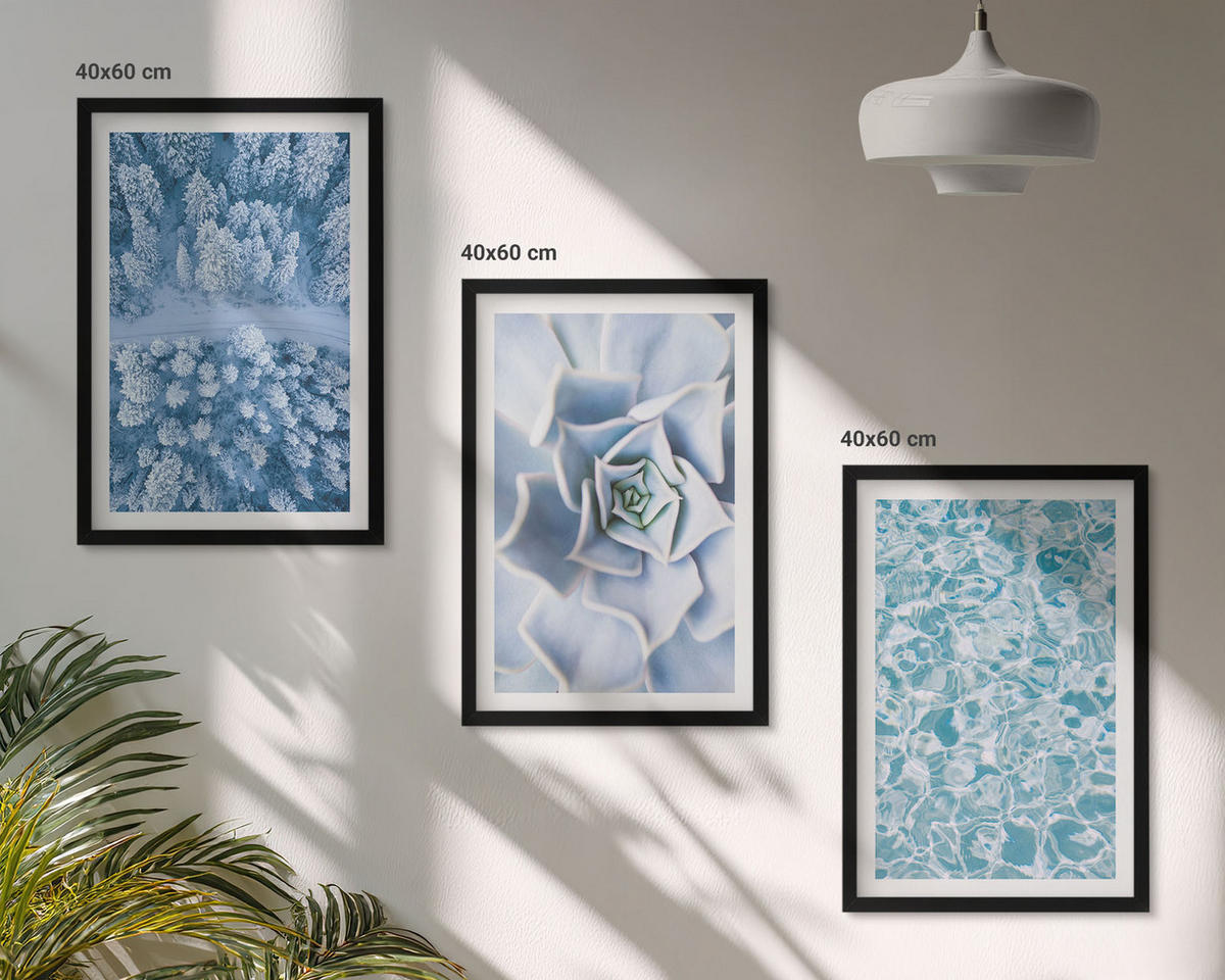 WANDBILDER 3er-Set - 40x60 cm Schwarzer Rahmen - Winterwald blaue Blume Wasser - Schwarz, Kunststoff (40/60cm) - ArtPrintCave