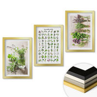WANDBILDER 3er Set - 20x30 cm Goldrahmen - Getrocknete Kräuter für die Küche - Goldfarben, Kunststoff (20/30cm) - ArtPrintCave
