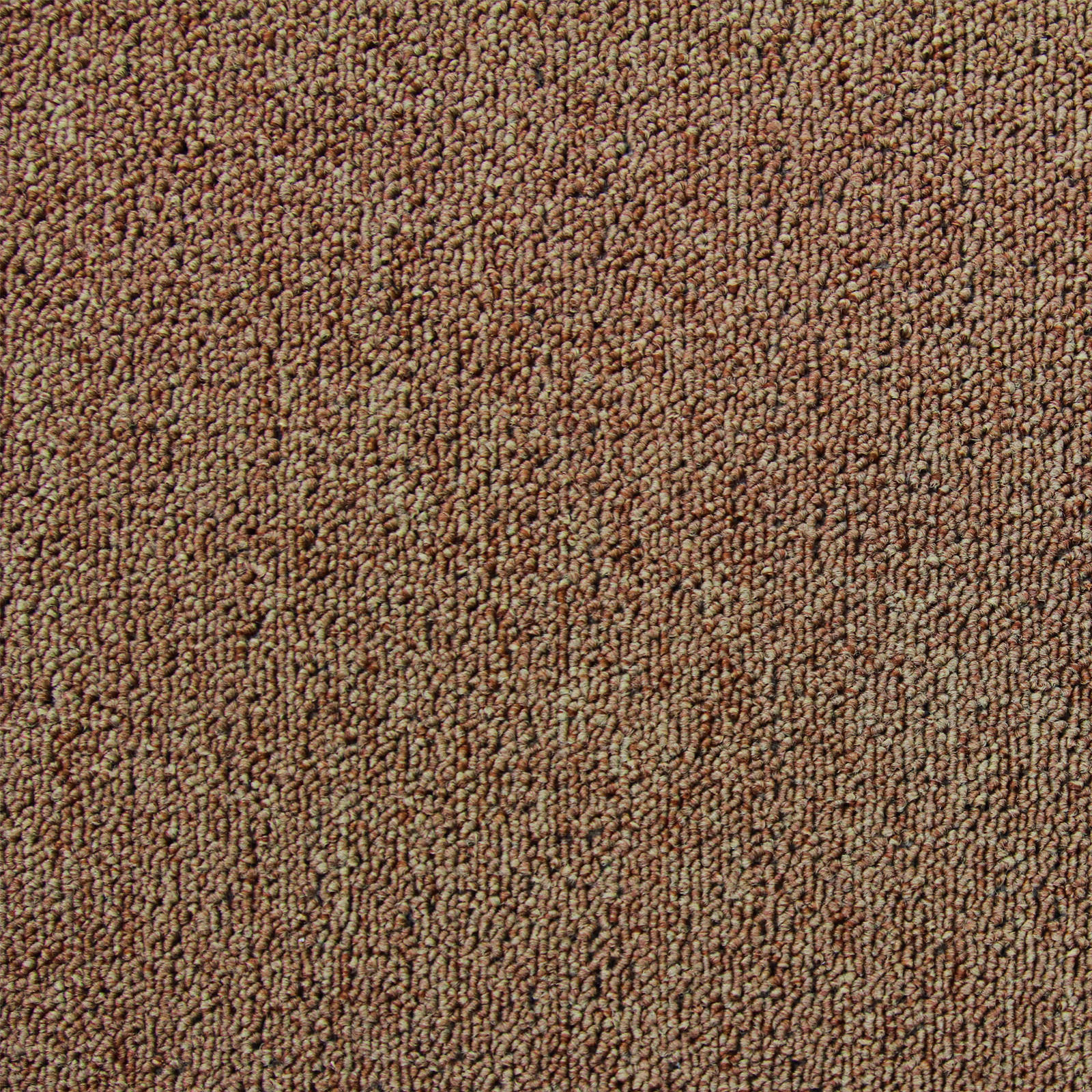 TEPPICHFLIESEN Sandfarbend für 10m² - Beige, Kunststoff (50/50/1cm) - Monstershop