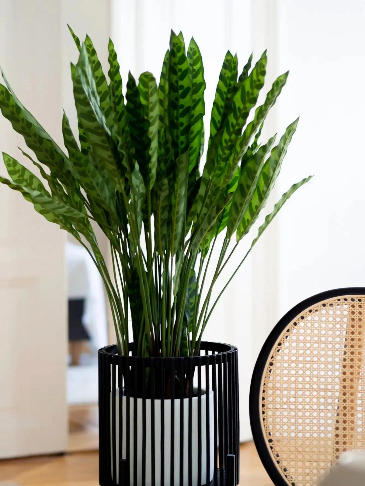 CALATHEA Künstliche Calathea - Jane 84 cm - Grün, Kunststoff (84cm) - aplanta