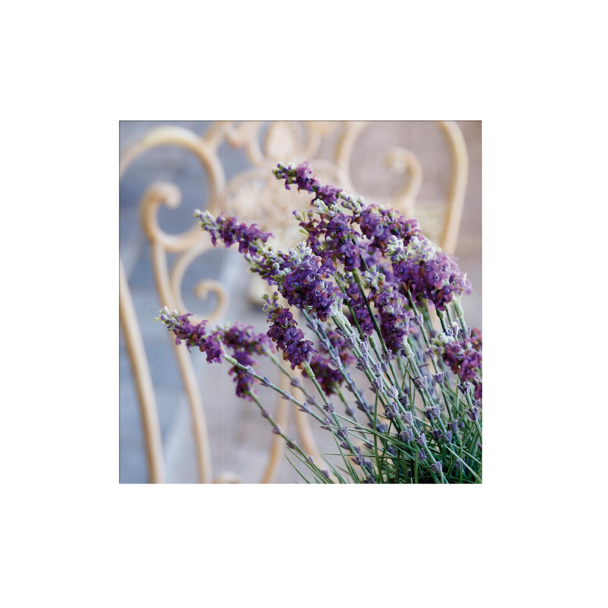 Art for the Home Leinwandbild Lila 50x1 cm