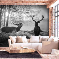 SELBSTKLEBENDE FOTOTAPETE 392/280 cm - Schwarz, Kunststoff/Textil (392/1cm) - KUNSTLOFT