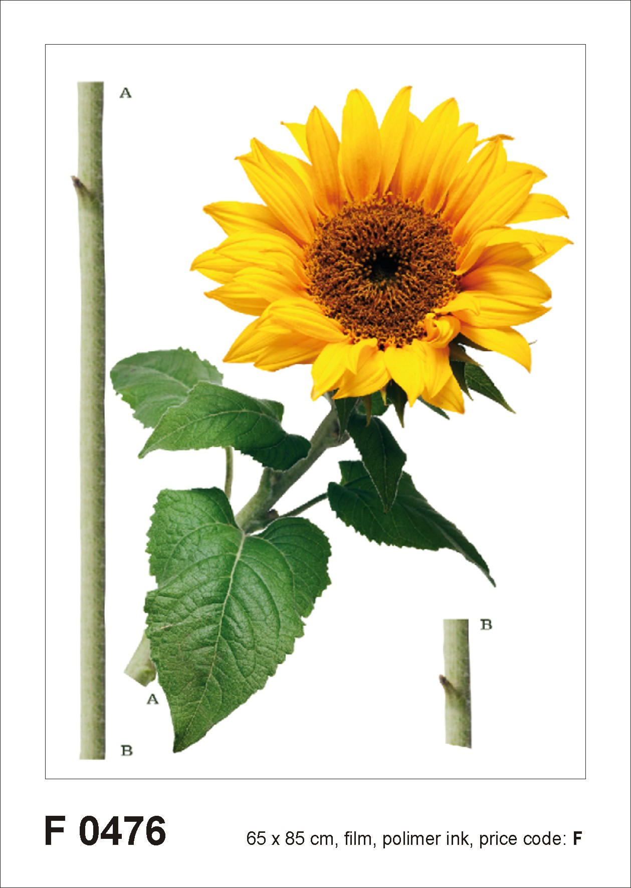 WANDTATTOO Sonnenblume 85 x 65 cm - Grün, Papier (85/65/65cm) - Sanders & Sanders