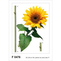 WANDTATTOO Sonnenblume 85 x 65 cm - Grün, Papier (85/65/65cm) - Sanders & Sanders