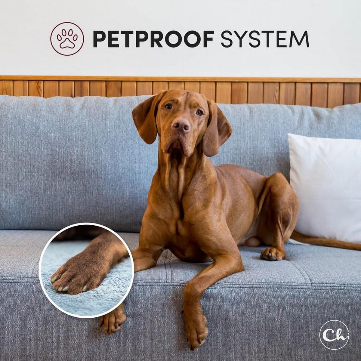 POLSTERBETT 200x200 mit Bettkasten, Lattenrost und Kopfteil, Poso Cord-Stoffbezug Türkis - Türkis, Holz (200/200cm) - Chilly