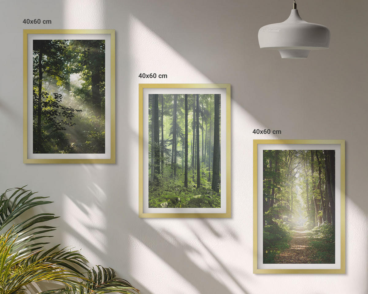 BILDER SET 3er Set - 40x60 cm Goldrahmen - Grüne Wälder mit Lichtstrahlen - Goldfarben, Kunststoff (40/60cm) - TULUP