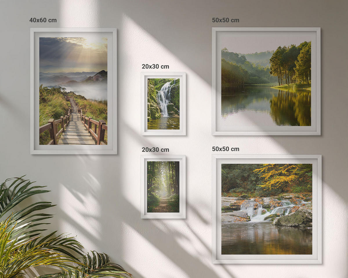 BILDER SET 5er Set - 50x50 cm & 20x30 cm & 40x60 cm Weißer Rahmen - Grüne Blätter von eleganten Sukkulenten - Weiß, Kunststoff (40/60cm) - TULUP